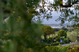 Locanda da Vittorio Manerba, gli olivi del parco