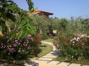 Locanda dei Rii, Manerba del Garda - viale giardino